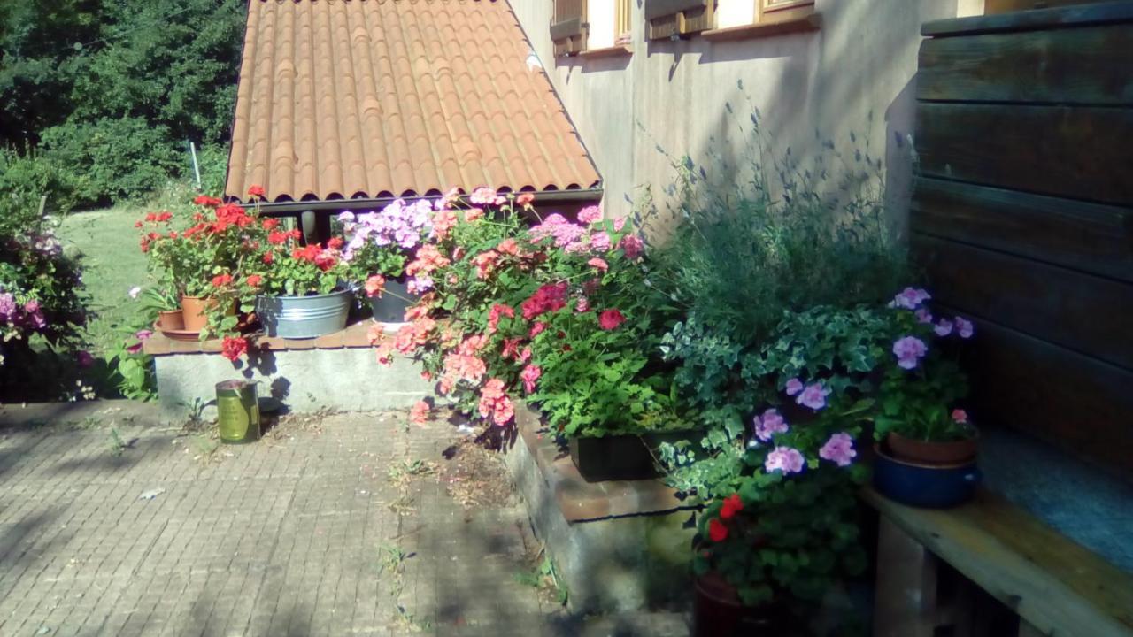 Il Pettirosso Di Giusvalla Экстерьер фото