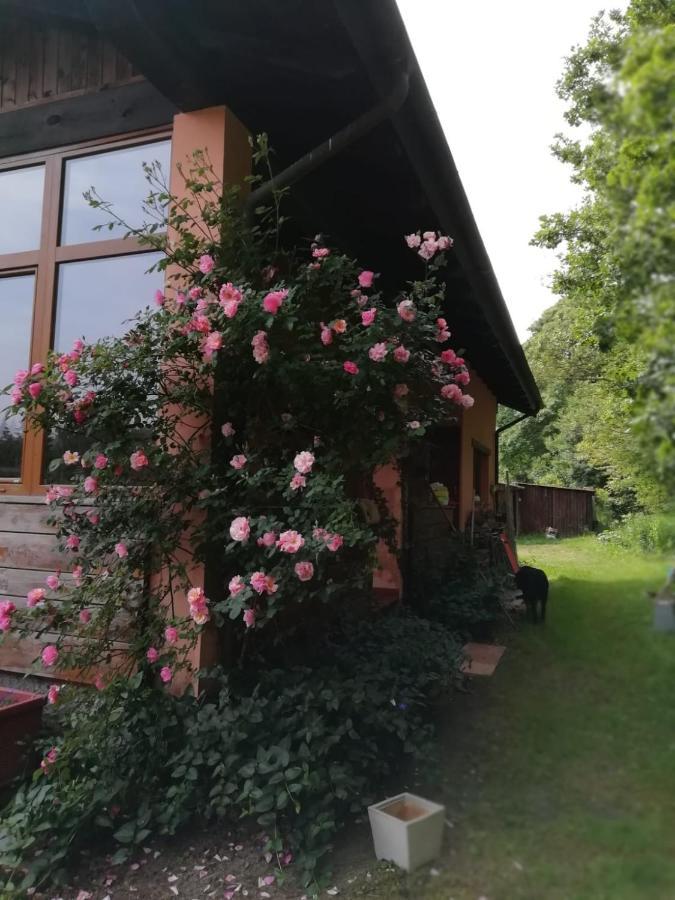 Il Pettirosso Di Giusvalla Экстерьер фото